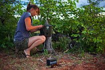 Researcher from the Endangered Wildlife Trust sets up a camera trap to monitor predator movements on Mapungubwe National Park, Limpopo Province, South Africa. February 2010.