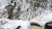 Close-up of the base of a waterfall, Gran Paradiso National Park, Graian Alps, Italy, June