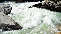 Rapids in a mountain river, Gran Paradiso National Park, Graian Alps, Italy, June.