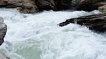 Rapids in a mountain river, Gran Paradiso National Park, Graian Alps, Italy, June.