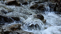 Water flowing over rocks in a mountain stream, Gran Paradiso National Park, Graian Alps, Italy, June.