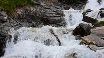 Tilt shot of a mountain river, Gran Paradiso National Park, Graian Alps, Italy, June