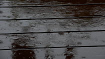Raindrops splashing on a wooden deck during a heavy rain shower, Belgium, May.