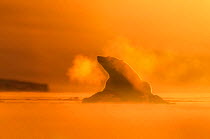 Polar bear (Ursus maritimus) at dawn with breath backlit, Svalbard, Norway, March. Highly commended in the Mammals category of the GDT Awards Competition 2016.
