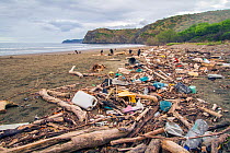 Plastic waste and driftwood washed in on the tide, Nancite Beach, Santa Rosa National Park, Costa Rica. November 2011.