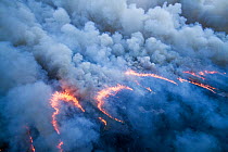 Aerial view of controlled burn in Everglades National Park,  Florida. Aerial. June 2011.