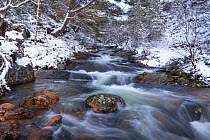Allt Ruadh river following heavy snowfall in Glenfeshie,  Cairngorms National Park, Scotland, UK, January 2015.