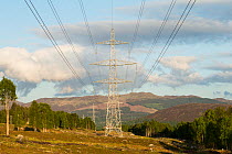 Overhead powerline and pylon in upland habitat near Schiehallion in Perthshire, Scotland, UK, May.