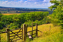 Stile and footpath, Aldbury Nowers Nature Reserve, the Chilterns, Hertfordshire, UK, July 2016,