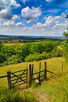 Stile and footpath, Aldbury Nowers Nature Reserve, the Chilterns, Hertfordshire, UK, July
