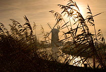 Horsey Windmill on the Norfolk Broads, England, UK, December 2006.
