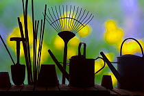 RF- Gardening tools silhouettes against garden flowers. (This image may be licensed either as rights managed or royalty free.)
