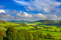RF- Hambleden Valley, Buckinghamshire, UK, October (This image may be licensed either as rights managed or royalty free.)