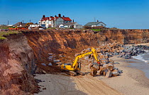 RF- Excavator with grapple used for building sea defences at Happisburgh, Norfolk, UK, March. (This image may be licensed either as rights managed or royalty free.)