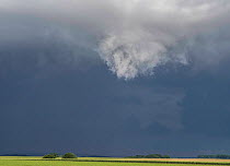 Tornado starting to form, Pas De Calais, France, June.