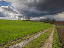 Country track with dark cumulonimbus clouds above,  Surfontaine, Picardy, France, March 2016.