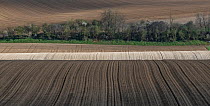 Fields ploughed with sugar beet seedlings,   Villers Le Sec, France, April 2016.
