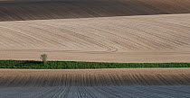 Farmland fields ploughed and planted with sugar beet seedlings,   Villers Le Sec, France, April 2016.