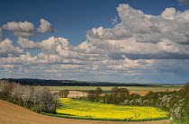 Clouds over landscape of fields with Oilseed rape (Brassica napus) La Ferte Chevresis, Picardy, France. April 2016.