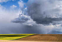 Large sky over farmland landscape with Oilseed rape (Brassica napus) flowering next to ploughed land,  Picardy, France, April 2016.