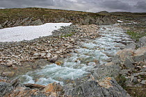 River and ice summer landscape between Hjerkinn and Snohetta, Dovrefjell, Norway, July