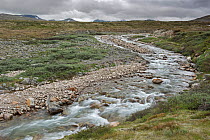 River and ice summer landscape between Hjerkinn and Snohetta, Dovrefjell, Norway, July
