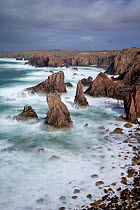 Sea stacks in stormy sea, Mangurstadh / Mangersta, Isle of Lewis, Outer Hebrides, Scotland, UK, April 2014.