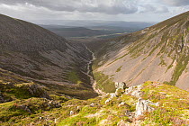 View into Coire Garbhlach, Glenfeshie, Cairngorms National Park, Scotland, UK, August 2013.