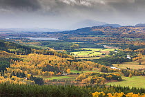 View over Spey Valley towards Kincraig, Cairngorms National Park, Scotland, UK, October 2013.