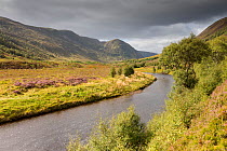 Woodland regenerating along river, Glen Mhor, Alladale Wilderness Reserve, Sutherland, Scotland, UK, September 2014.