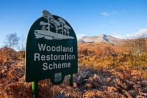Scottish Natural Heritage  Woodland Restoration Scheme sign on Beinn Eighe National Nature Reserve, Kinlochewe, Wester Ross, Scotland, November 2014.