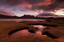 Saltmarsh exposed by low tide at sunset with view to Ben Loyal, Kyle of Tongue, Sutherland, Scotland, UK, December.