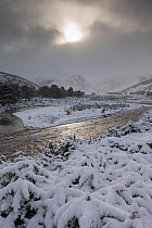 Braided channel of the River Feshie in winter, Glenfeshie, Cairngorms National Park, Scotland, January 2015.