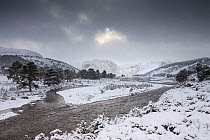 Braided channel of River Feshie in winter, Glenfeshie, Cairngorms National Park, Scotland, January 2015.