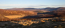 View over patchwork of grouse moorland in eastern Grampians, Deeside, Cairngorms National Park, Scotland, UK, April 2016.