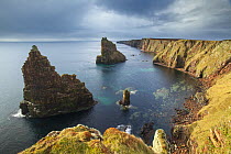 Sea stacks, Duncansby Head, John O Groats, Caithness, Scotland, UK, April 2015.