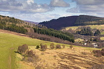 Mixed habitat of commercial forestry, sheep grazing pasture and natural woodland, Glenlivet, northern Scotland, UK, April 2016.