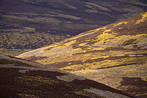 Patchwork of upland heather moorland on grouse shooting estate, northern Scotland, UK, April 2016.