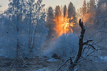 Sunrise over frozen river and forest Kuusaa, Finland, January.