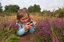 Young girl photographing Heather on heath, Kelling Heath Norfolk, August 2015 Model released.