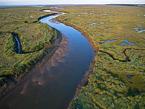 Aerial view of saltmarsh between Wells and Stiffkey on Holkham National Nature Reserve, North Norfolk, UK August