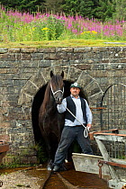 A lead miner and his  Dales pony, at Killhope Museum, near Cowshill, Upper Weardale, County Durham, England, UK, August 2016. Critically endangered breed.
