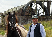 A lead miner and his  Dales pony, in front of the waterwheel, at Killhope Museum, near Cowshill, Upper Weardale, County Durham, England. Critically Endangered breed.