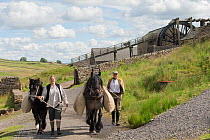 Two lead miners leading two Dales ponies, in front of the waterwheel, at Killhope Museum, near Cowshill, Upper Weardale, County Durham, North Pennines, England, UK, August 2016.  Critically Endangered...