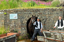 A lead miner leading his Dales pony out of a gallery, at Killhope Museum, near Cowshill, Upper Weardale, County Durham, England, UK, August. Critically endangered horse breed.