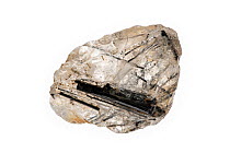 Quartz specimen with tourmaline, crystalline boron silicate mineral, on white background
