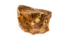 Jasper specimen, opaque, impure variety of silica on white background