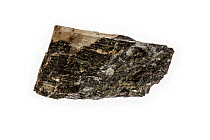 Tourmaline specimen, crystalline boron silicate mineral on white background