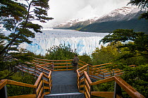 Viewing platform and Perito Moreno Glacier, Los Glaciares National Park, Santa Cruz, Patagonia, Argentina. February 2010.