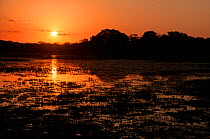 Sunset over vazante, Fazenda Baia das Pedras, Pantanal, Brazil. Taken on location for BBC Wild Brazil series.